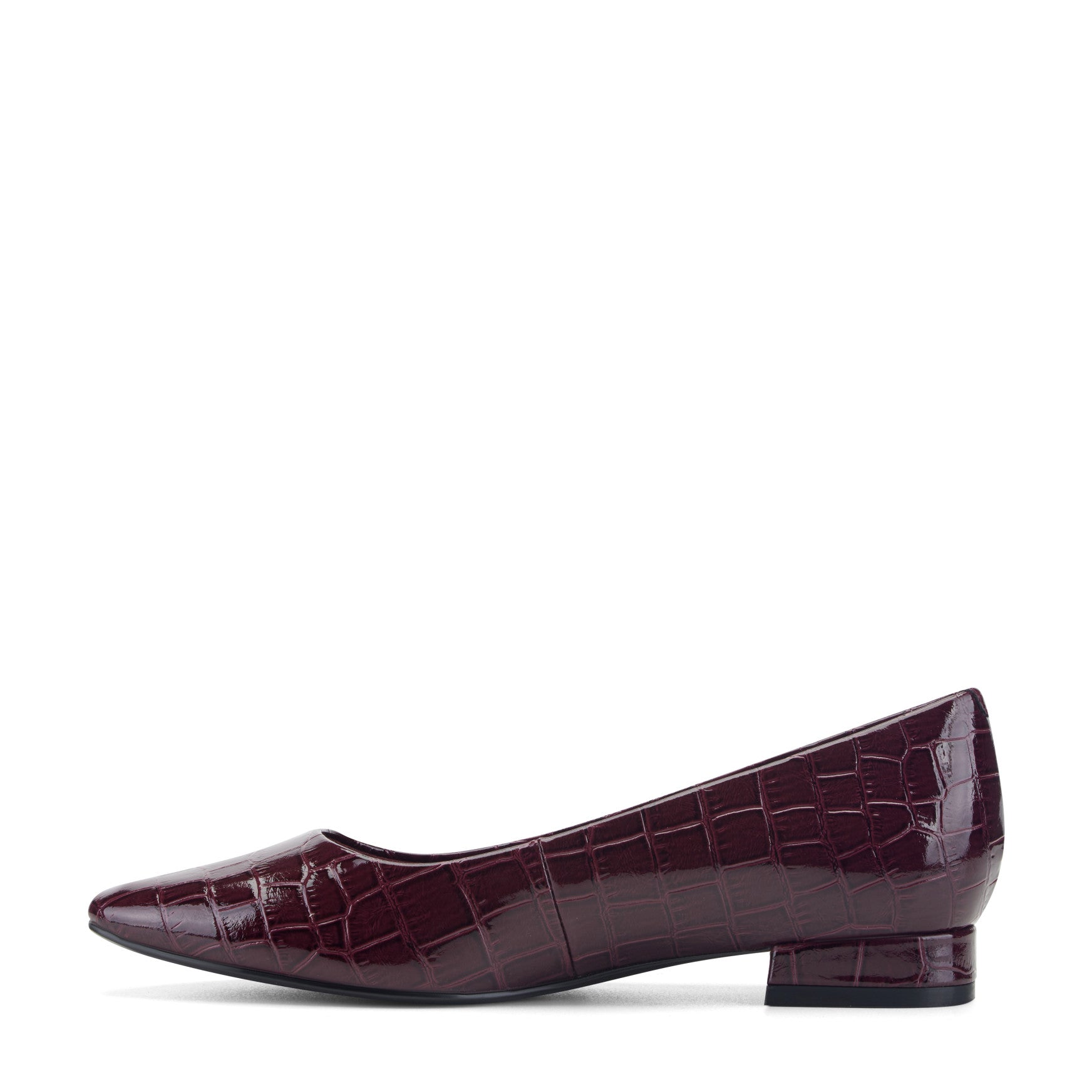 Women's Tessa Total Motion Pointy Toe Dress Flats