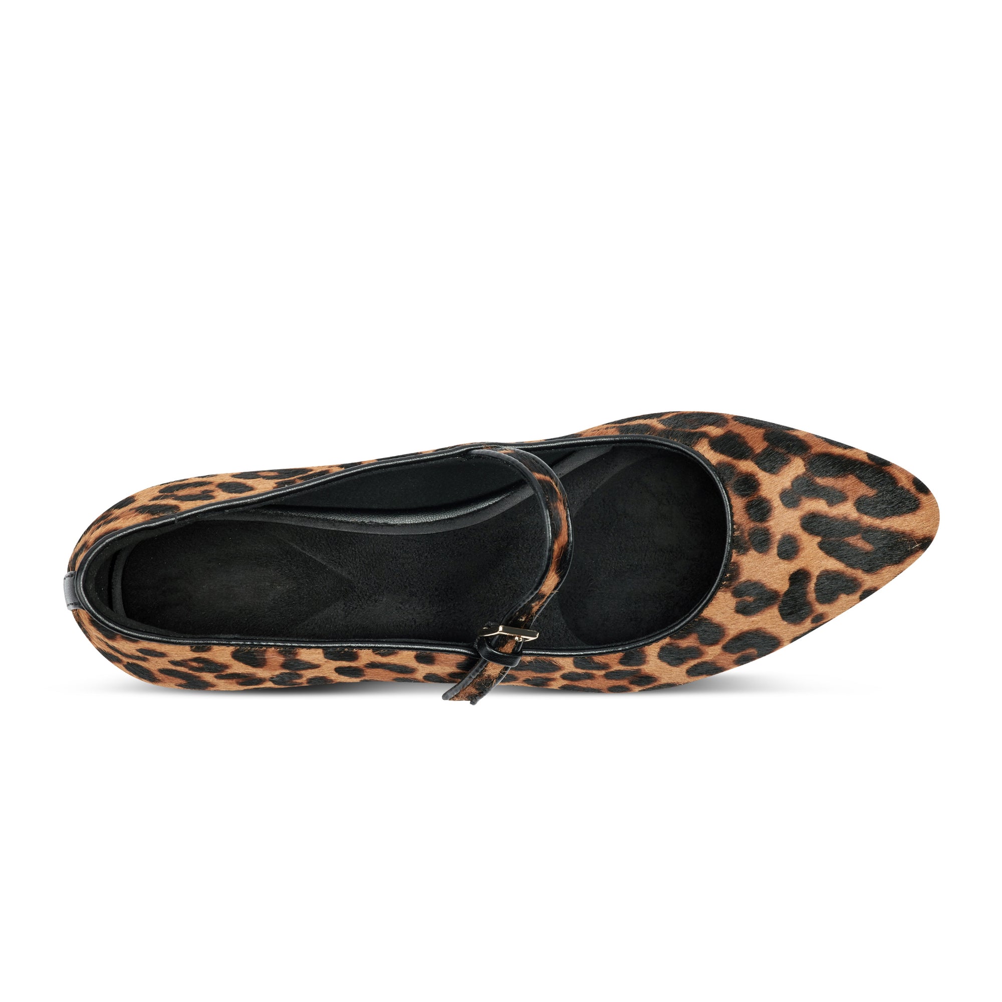 Women's Taren Total Motion Pointy Toe Dress Flats